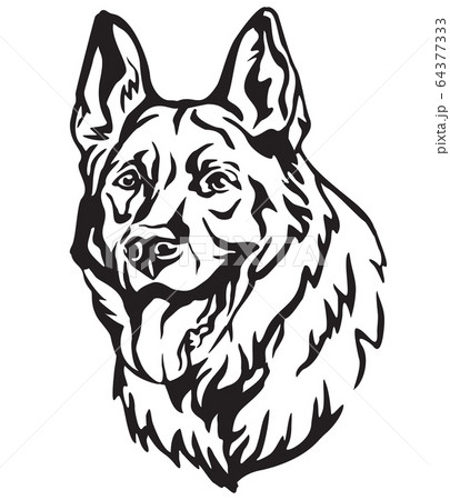 Decorative portrait of Dog Shepherd 3 vector 64377333