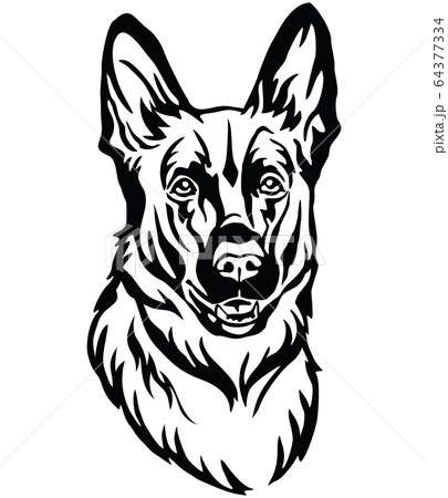 Decorative portrait of Dog Shepherd vector 64377334