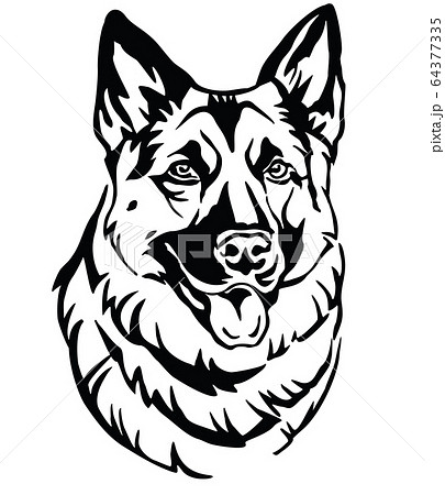 Decorative portrait of Dog Shepherd 2 vector Decorative portrait of Dog Shepherd 2 vector 64377335