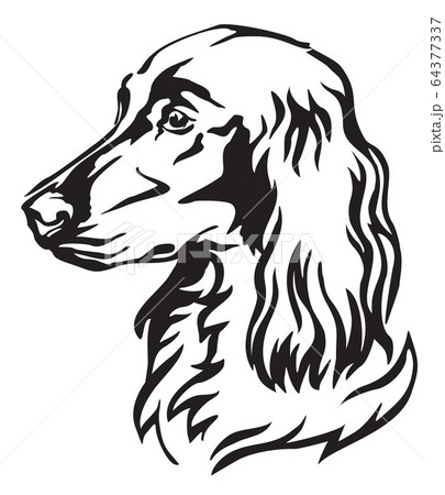 Decorative portrait of Dog Irish Setter vector 64377337