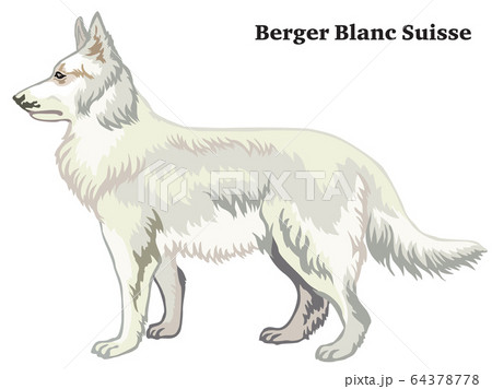 Colored decorative standing portrait of Berger 64378778