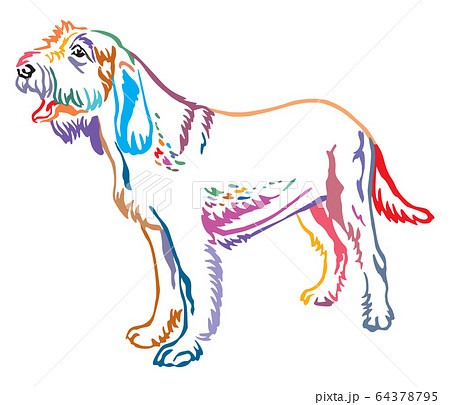 Colorful decorative portrait of Dog Spinone 64378795