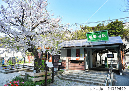 神奈川県鎌倉市 江ノ島電鉄線 極楽寺駅の桜 神奈川県鎌倉市 江ノ島電鉄線 極楽寺駅の桜 64379649
