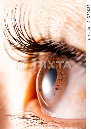 眼球　目　目玉　黒目　白目　眼　コンタクト　マツエク　睫毛　睫毛パーマ 64379887