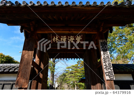 久留米市・梅林寺 久留米市・梅林寺 64379916