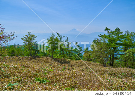 山梨の奥甘利山の山頂から南東側に見る富士山 64380414