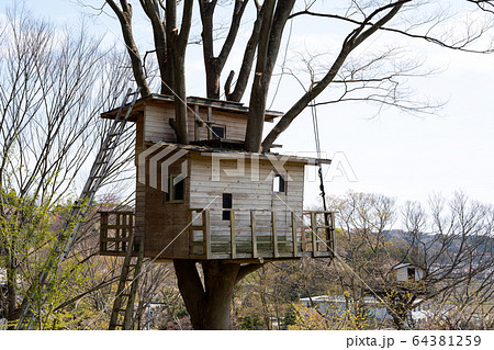 ツリーハウス Tree House Treehouse モバイルハウス コミューン 小屋の写真素材