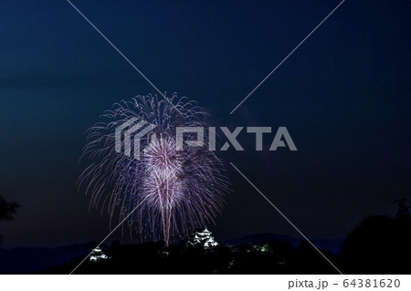 彦根城 花火大会 彦根城 花火大会 64381620