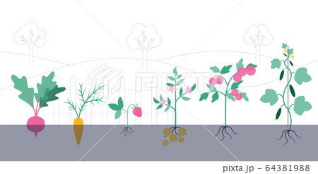Garden work concept 64381988