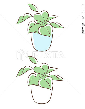 小さめの観葉植物 64382293