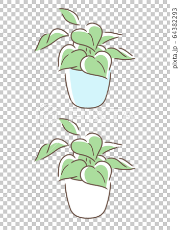 小さめの観葉植物 64382293