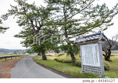 旧羽州街道 松並木 秋田県の写真素材 [64383127] - PIXTA