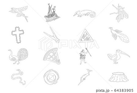 南半球の星座線なし白 64383905