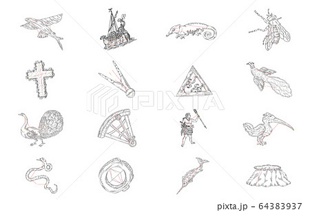 南半球の星座影あり白 64383937