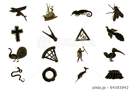 南半球の星座影あり黒 64383942