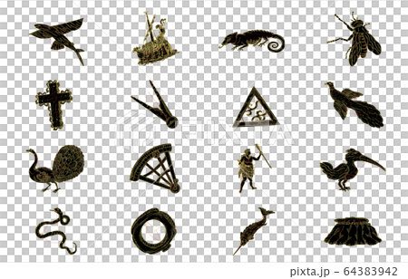 南半球の星座影あり黒 64383942