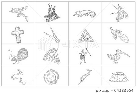 南半球の星座影あり線なし白枠のイラスト素材 [64383954] - PIXTA