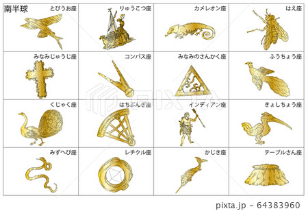 南半球の星座影あり線なし金枠名称 64383960