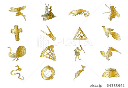 南半球の星座影あり線なし金 64383961