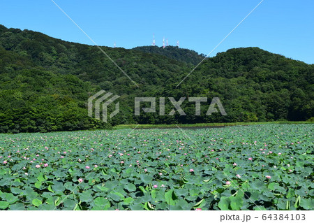 高館山 森林浴の森100選 高館山 森林浴の森100選 64384103