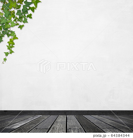 背景 壁 床 白バック アイビーのイラスト素材 背景 壁 床 白バック アイビーのイラスト素材