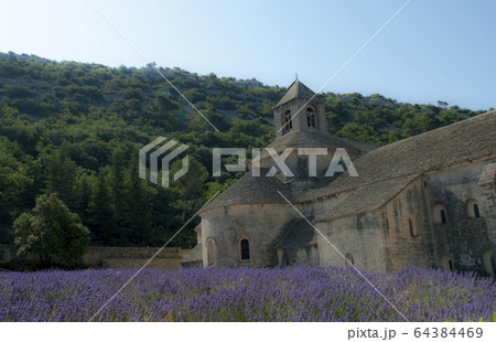 修道院とラベンダー畑 修道院とラベンダー畑 64384469