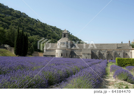 修道院とラベンダー畑 修道院とラベンダー畑 64384470