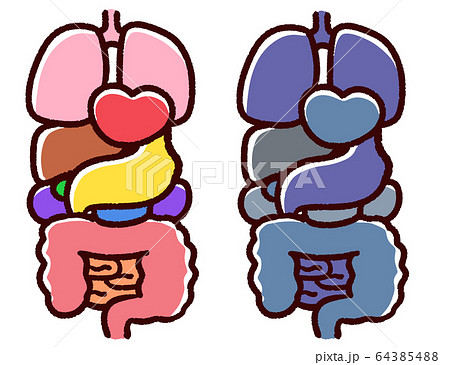 かわいい臓器 人体 セットのイラスト素材