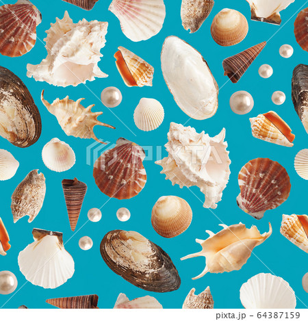 Simple minimalism seamless pattern with photo isolated shells, collage style. 64387159