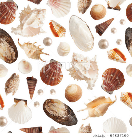 Simple minimalism seamless pattern with photo isolated shells, collage style. 64387160