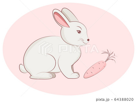 Cute white rabbit with carrot in cartoon style 64388020