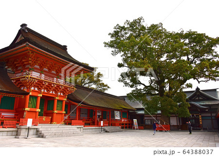 大分県　宇佐神宮 64388037