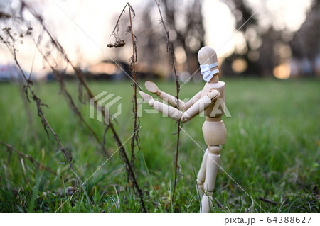 Wooden mannequin with face mask in nature, corona virus, death and life concept. Wooden mannequin with face mask in nature, corona virus, death and life concept. 64388627