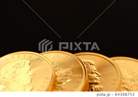 カナダの金貨　 64388753