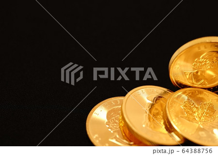 カナダの金貨　 64388756
