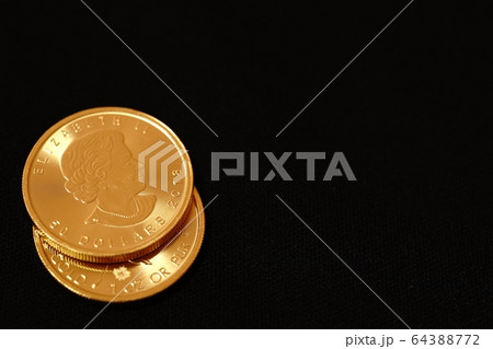 カナダの金貨　 64388772
