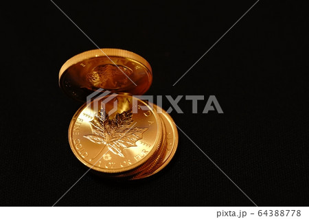 カナダの金貨 カナダの金貨 64388778