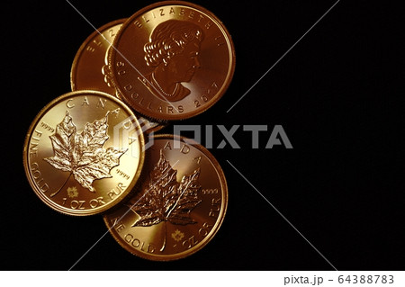カナダの金貨　 64388783