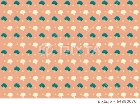 ブロッコリーとカリフラワー 64390076