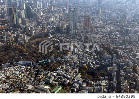 青山霊園上空から六本木ヒルズ方向を空撮 青山霊園上空から六本木ヒルズ方向を空撮 64390299