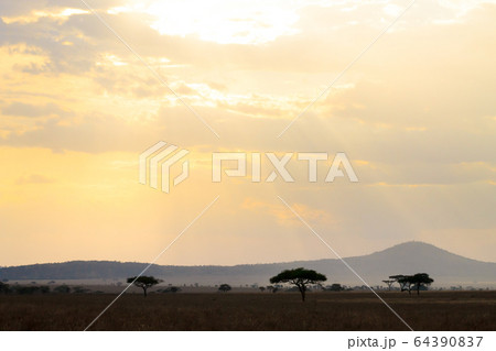 Serengeti National Park landscape, Tanzania, Serengeti National Park landscape, Tanzania, 64390837
