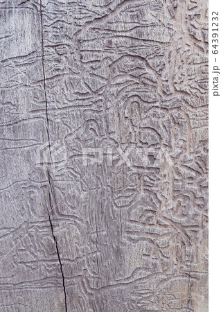 Old wooden background or texture 64391232