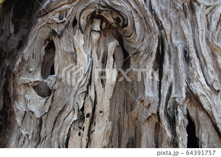 Old natural wooden shabby background close up Old natural wooden shabby background close up 64391757