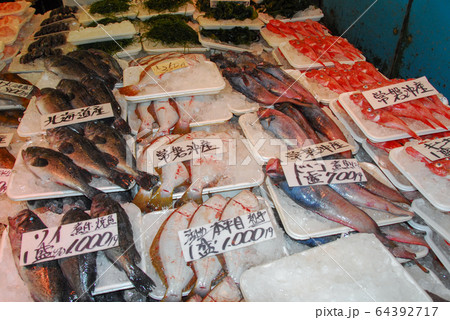 魚市場の鮮魚、ドンコ 魚市場の鮮魚、ドンコ 64392717