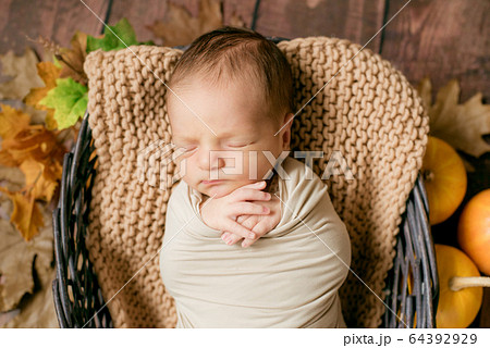 Cute little baby sleeping in a wicker basket of twigs with yellow leaves and little orange pumpkins. Cute little baby sleeping in a wicker basket of twigs with yellow leaves and little orange pumpkins. 64392929