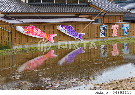 こいのぼり(千葉県大多喜町) こいのぼり(千葉県大多喜町) 64393119