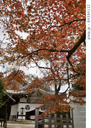 養源院　紅葉 64394112