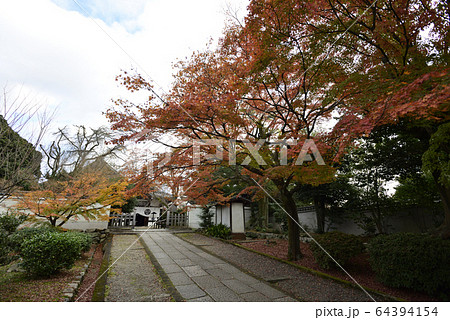 養源院　紅葉 64394154