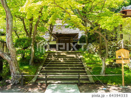 鎌倉 円覚寺 居士林 鎌倉 円覚寺 居士林 64394333