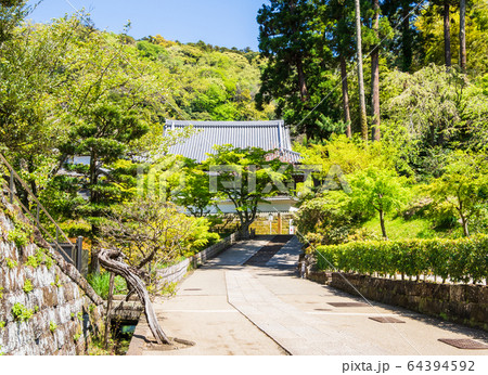 鎌倉　円覚寺　境内 64394592